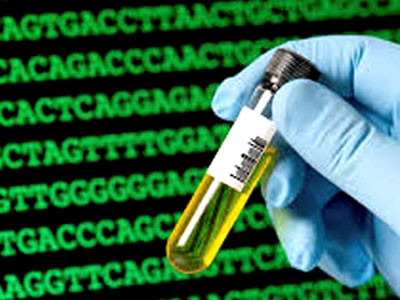 Bố con nhận nhau nhờ giải oan... ADN