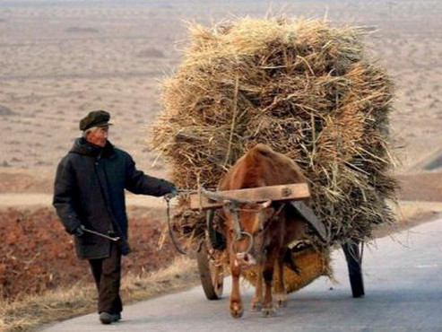 Theo KCNA, nếu thời tiết khô hạn bất thường kéo dài thì đây sẽ là tháng 5 khô hạn nhất trong 50 năm qua tại CHDCND Triều Tiên