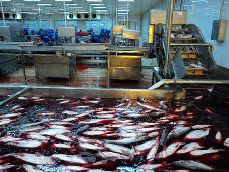 Đại gia đầu tư 500 tỷ đồng cứu Công ty Bình An