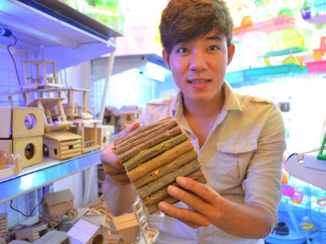 Từ cậu bé bán nước mía thành 'triệu phú' hamster