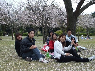 Tư vấn du học Nhật Bản miễn phí