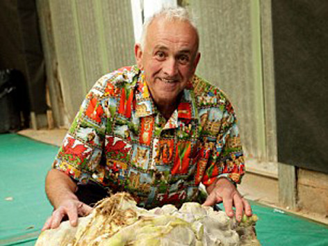 Củ cải nặng 54kg, củ cà rốt 8kg