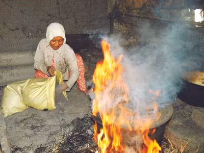 Lửa tàn tro