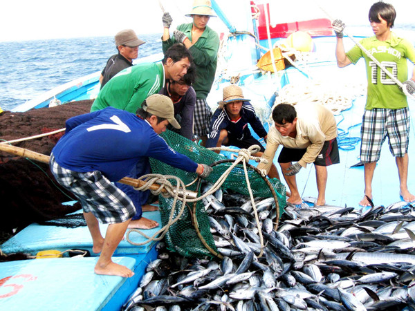 Nhiều chủ tàu tuyển thanh niên miền núi đi biển