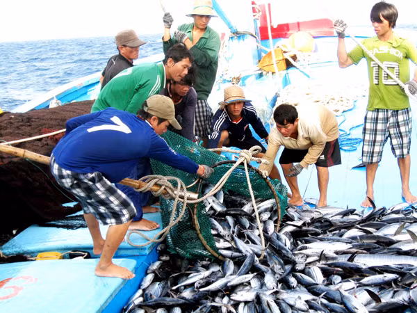 Nhiều chủ tàu tuyển thanh niên miền núi đi biển