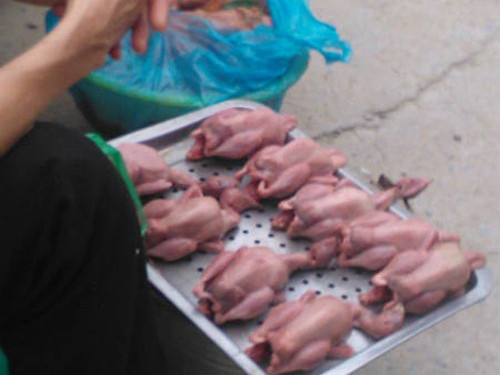 Bồ câu non tẩm sẵn gia vị giá siêu rẻ