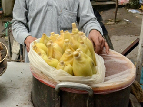 Nỗi tuyệt vọng của xóm bắp ngô sau tin luộc bằng pin