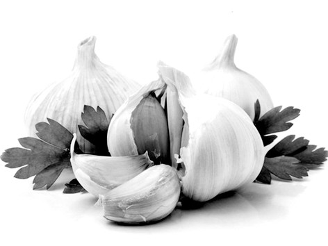 Phát hiện cơ chế giảm mỡ máu, giảm béo của dầu tỏi tía