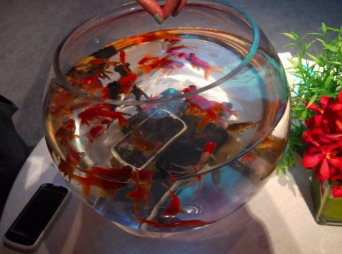 Smartphone chống nước rẻ nhất thế giới