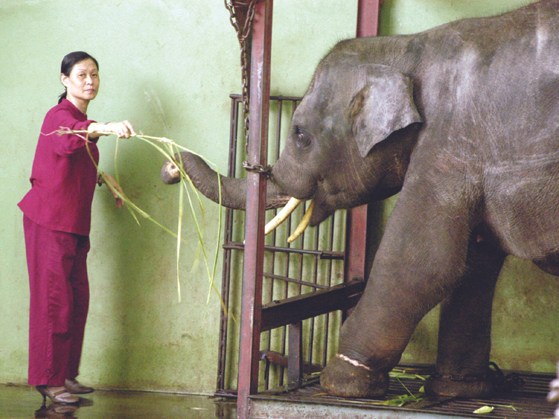 Khăm Bun một năm trước