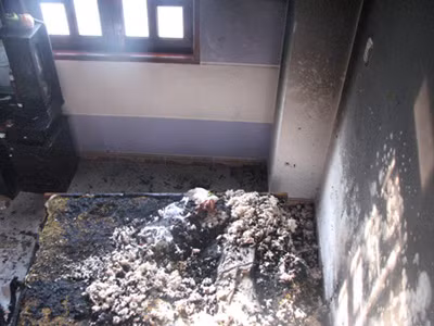 Vụ nhà báo bị đốt 'còn nhiều điều hết sức khó hiểu'