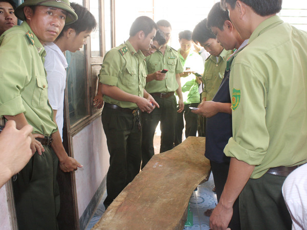 Thu giữ thêm 4 tấm gỗ huê