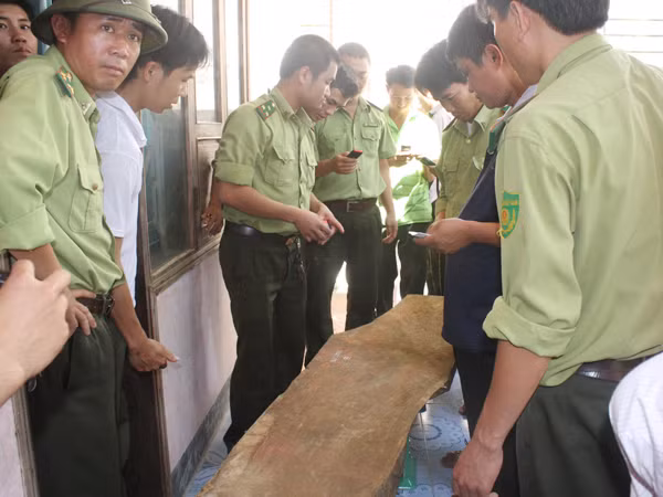 Thu giữ thêm 4 tấm gỗ huê