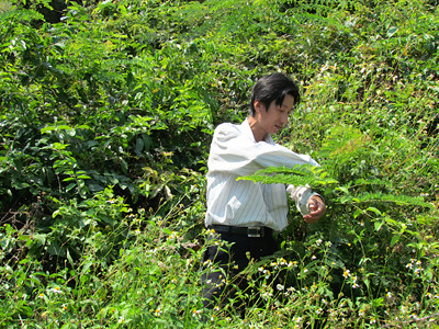 Dân cần, cơ quan chưa vội?