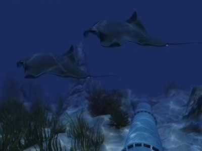 Buôn rượu lậu qua biên giới bằng ống dẫn ngầm