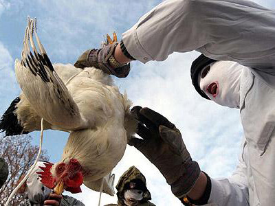 Việt Nam sẵn sàng ứng phó cúm A/H7N9