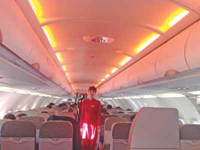 Các hãng bay Việt lao đao