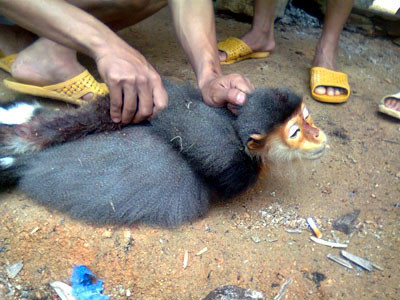 Những bạn trẻ “chết” vì Facebook