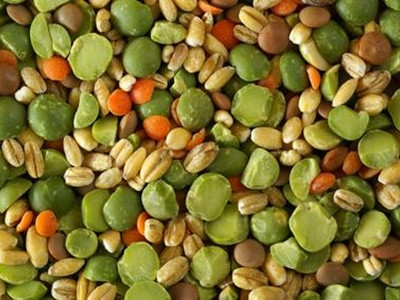 Đậu đỗ tốt cho người mắc bệnh tiểu đường