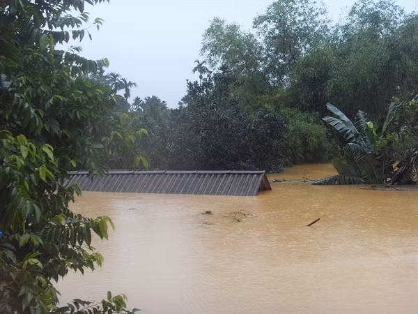 Tâm thế lúc này...