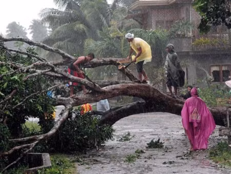 Philippines: Ít nhất 43 người chết do bão Bopha