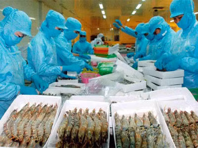 Căng thẳng ‘cuộc chiến’ tôm