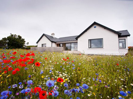 Nhà đẹp giữa 'rừng hoa'