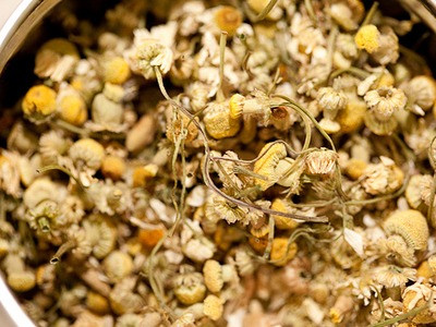 Dùng thảo mộc giải nhiệt, chữa bệnh