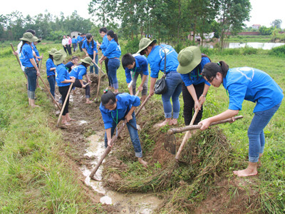 Lăn vào cuộc sống