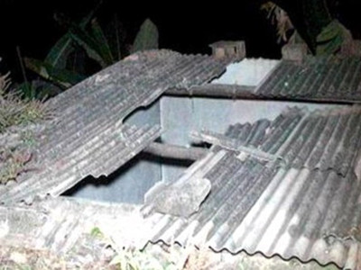 Bò rơi từ mái nhà đè chết người