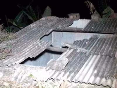 Bò rơi từ mái nhà đè chết người