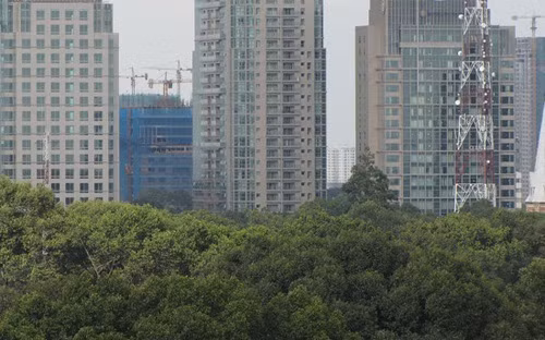 Nhiều dự án giảm sát gốc hợp đồng