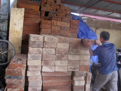 'Máu' rừng vẫn chảy vì lợi nhuận ngang... ma túy