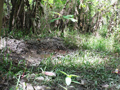 Kinh hoàng nghịch tử giết mẹ, chôn xác phi tang