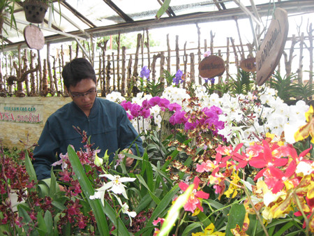 Đón Tết Quý Tỵ bằng... ‘phượt’