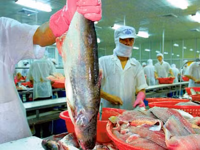 Doanh nghiệp 'bàng hoàng' vì dự thảo thuế NK