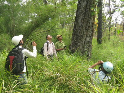 Mất nhiều rừng nếu xây dựng thủy điện trong VQG Yok Đôn