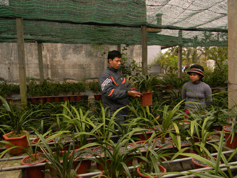 Chàng trai tật nguyền kiếm trăm triệu từ lan