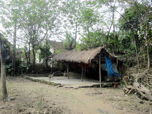 Ở ngôi làng rất hiếm đám cưới