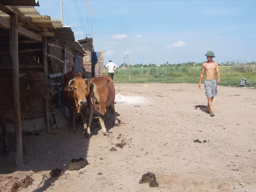 Khu công nghiệp tàu thủy Lai Vu (Hải Dương) sau 7 năm triển khai vẫn là bãi đất hoang, giờ được Vinashin chuyển cho PVN