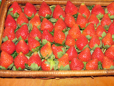 Chìm nổi ba đặc sản Việt Nam