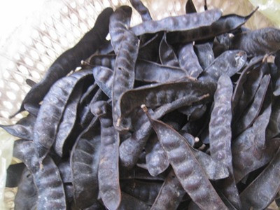 Nước quả bồ kết chữa táo bón cho bé