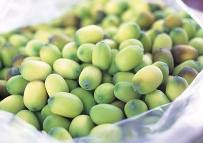 Dùng tâm sen lâu dài không tốt