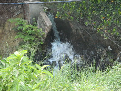 Ô nhiễm bủa vây