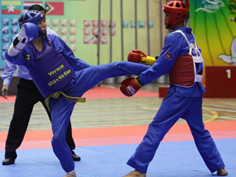 Chờ các môn võ giành Vàng