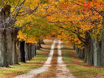 Choáng ngợp sắc thu đẹp như cổ tích