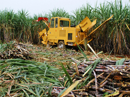Vì sao ngành đường lãng phí năng lượng?