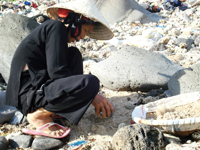 Ngư nữ hái rong đáy biển