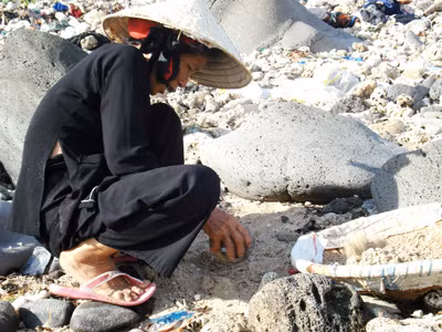 Ngư nữ hái rong đáy biển
