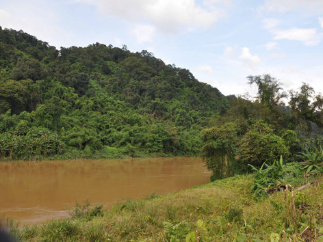 Vi phạm luật thì phải dừng dự án